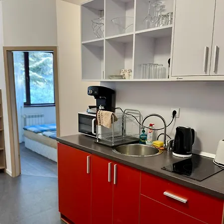 Sweet Flora Violet 3 *