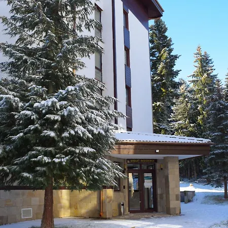 Sweet Flora Violet 3 Borowec