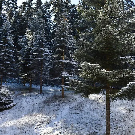 Apartament Sweet Flora Violet 3 Borowec