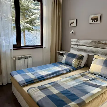 Sweet Flora Violet 3 Borowec