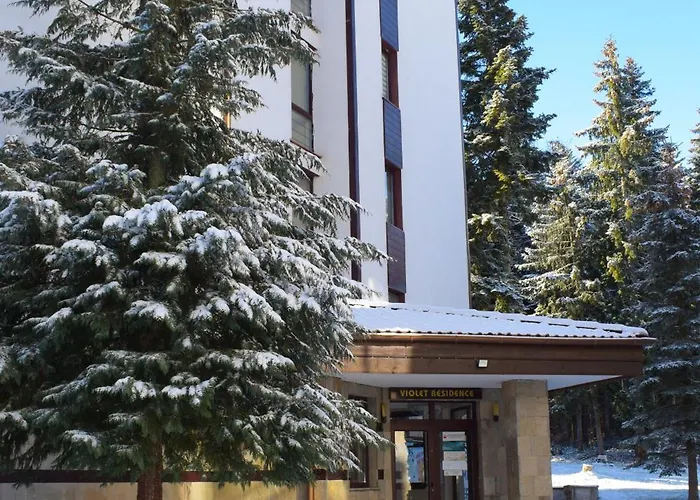 Sweet Flora Violet 3 Borowec