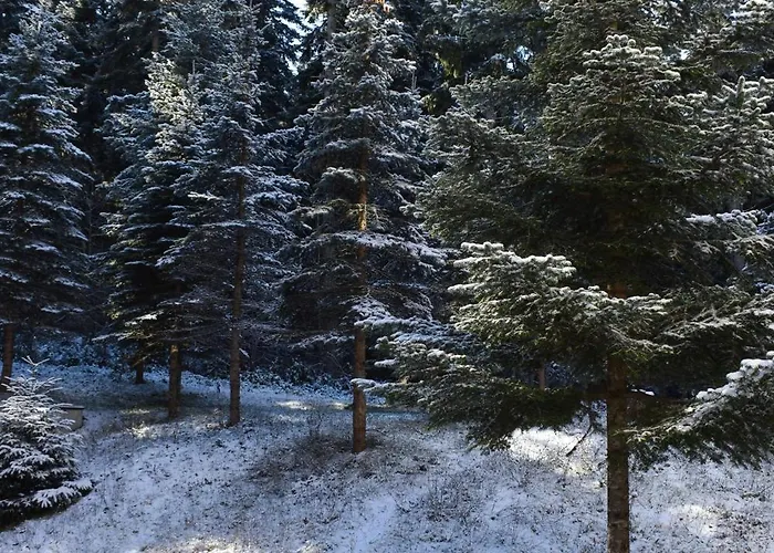 아파트 Sweet Flora Violet 3 보로베츠