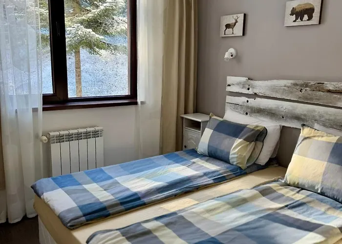 Sweet Flora Violet 3 Borowec